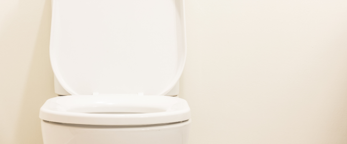 Types of Toilet Seats