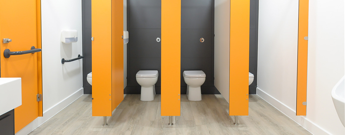 What are the different types of toilet?