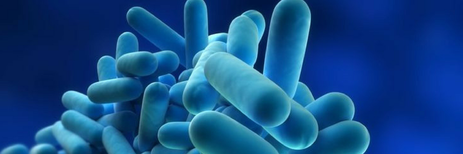 Legionella Checks: Reducing The Risks