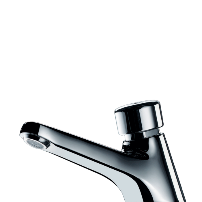 Delabie Vandal Resistant Self Closing Tap