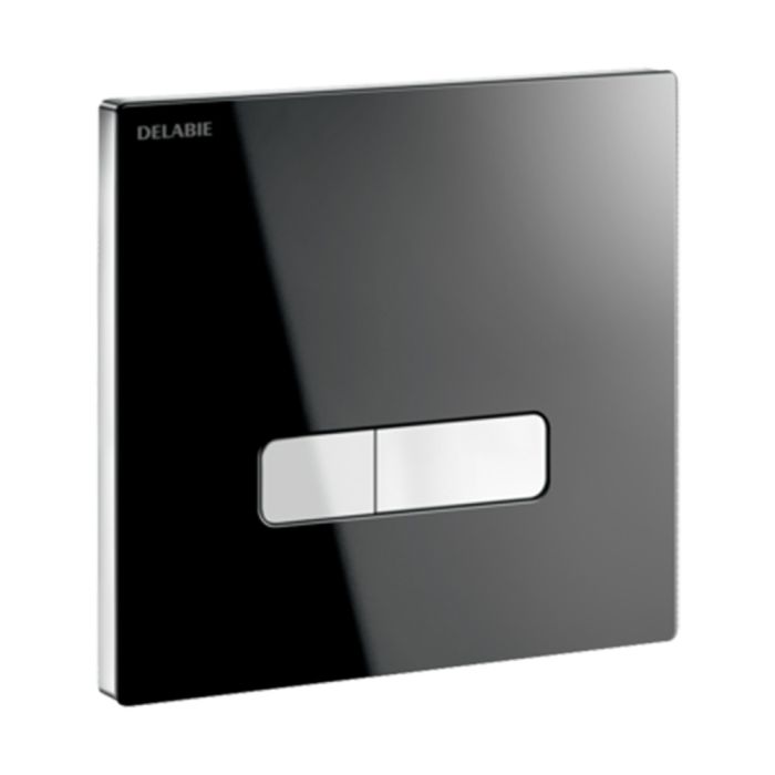 TEMPOFLUX 3 Black Glass Control Plate for WCs | Delabie