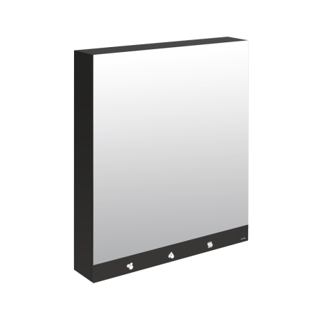 Delabie mirror cabinet with paper towel, hand drier, soap and sensor tap.