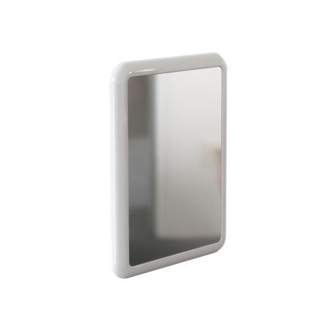 DVS Vandal Resistant Mirror and Frame