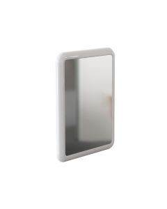 DVS Vandal Resistant Mirror and Frame