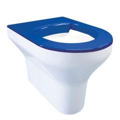 DVS Back to Wall Vandal Resistant Toilet with Blue Seat