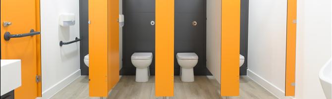 What are the different types of toilet?