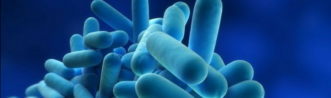 Legionella Checks: Reducing The Risks