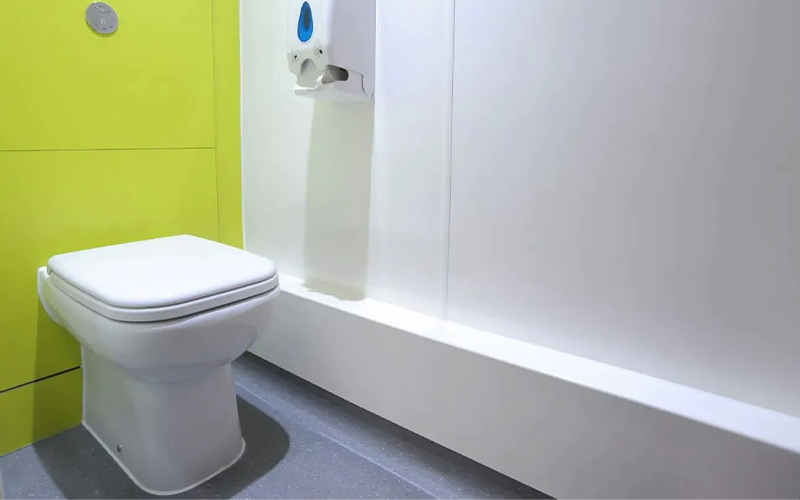 Colden Common School - Back To Wall Toilet