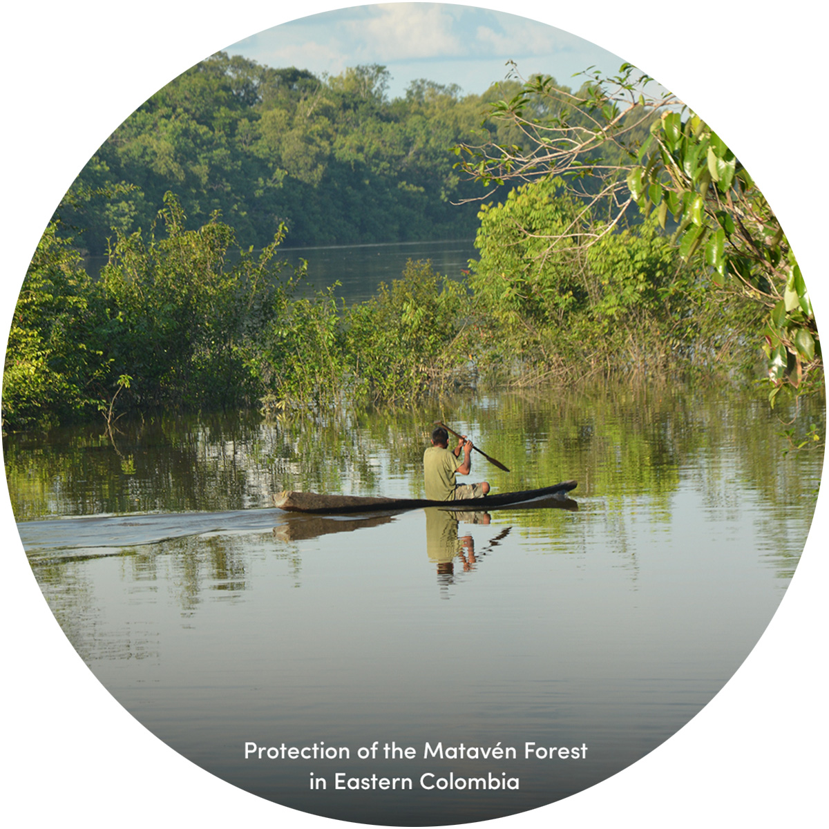 Mataven Rainforest Preservation
