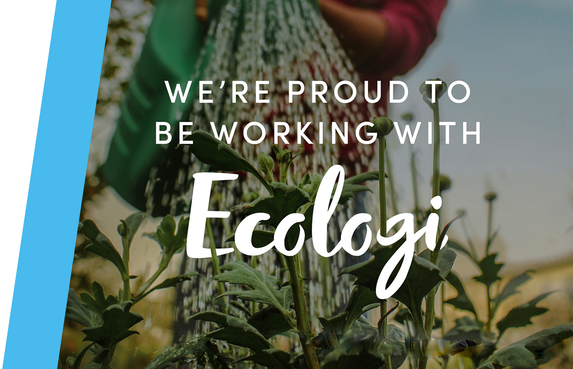 We're proud to be working with Ecologi