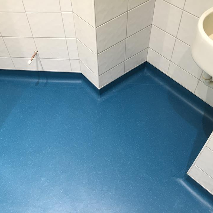 Vinyl Flooring